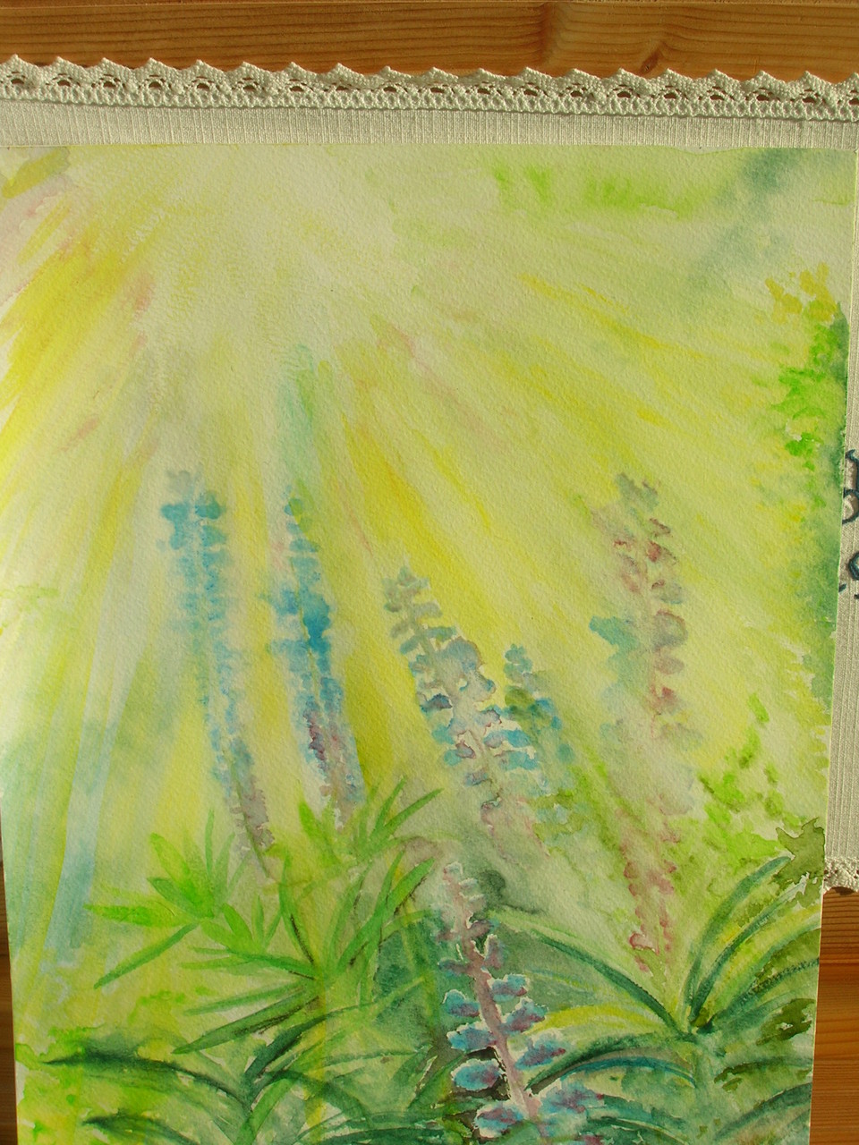 Lupinen 1