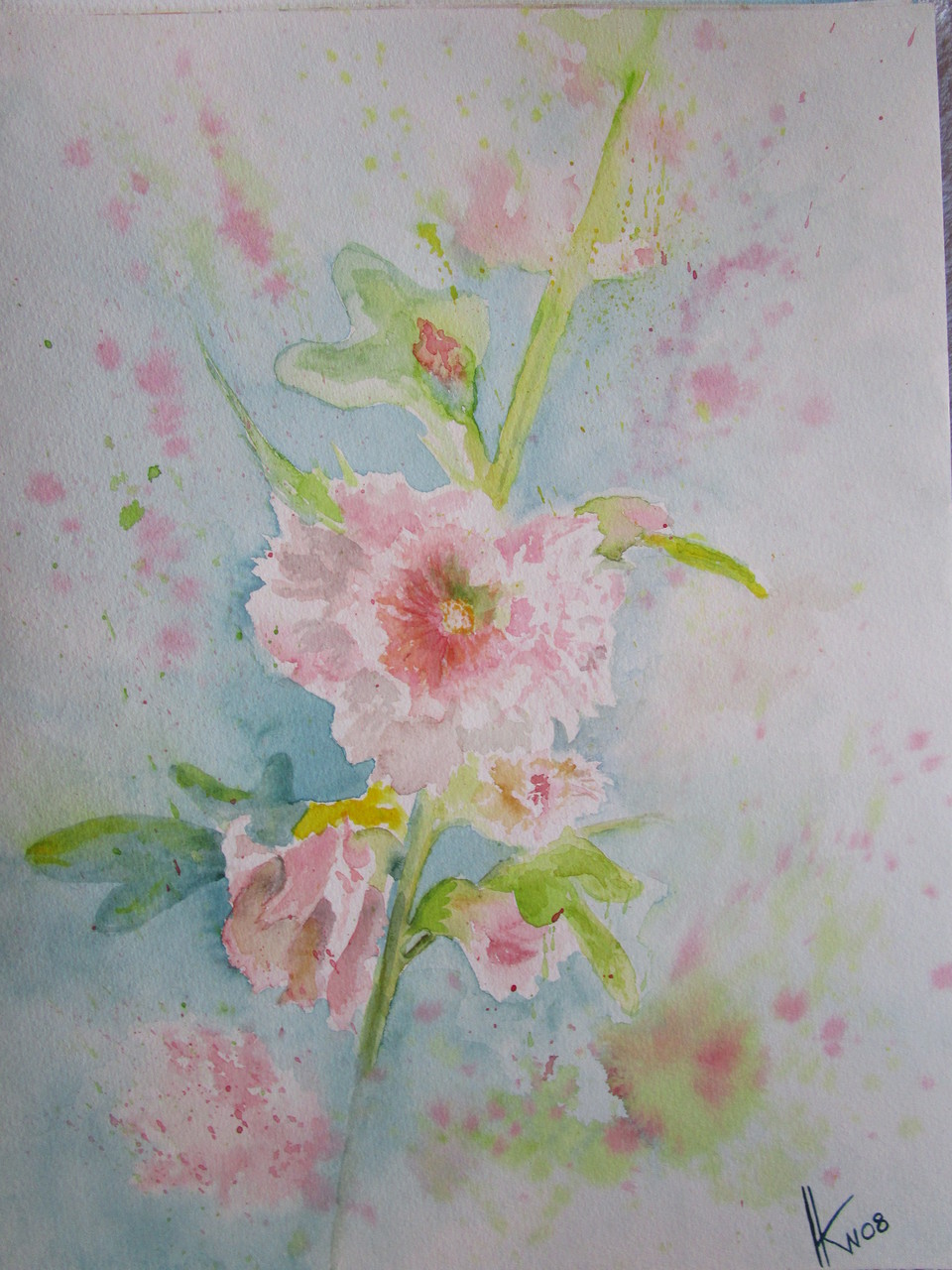 Stockrose 2