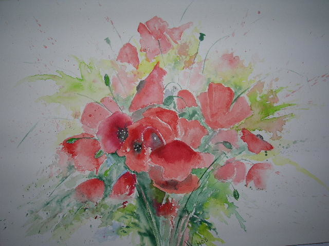 Mohn 1