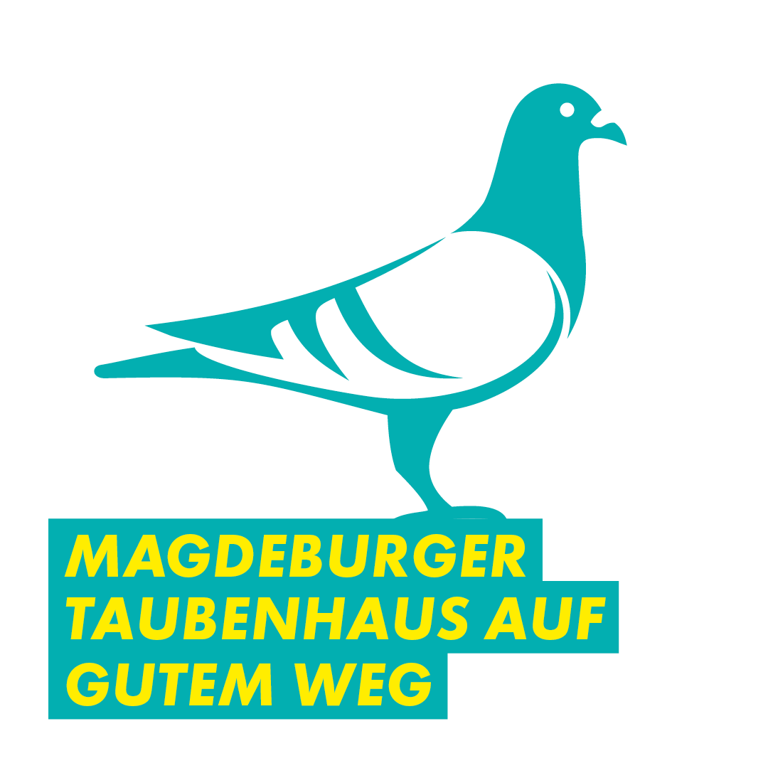 Zusätzlicher Schub für das geplante Taubenhaus in der Magdeburger Innenstadt