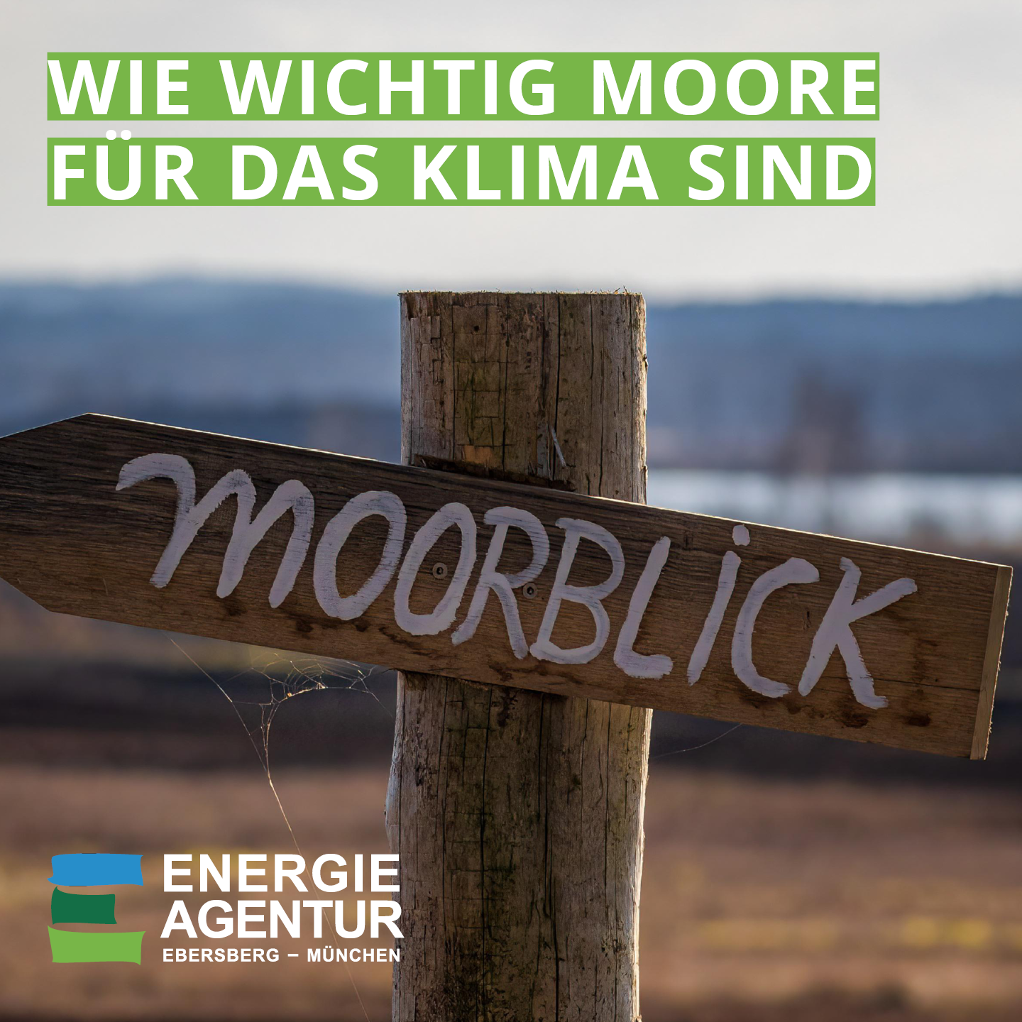Kleine ImpulsE Mai 2026