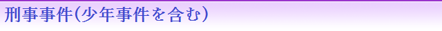 刑事事件(少年事件を含む)