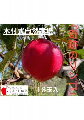 2023年 りんご販売のご案内 - HOKKAIDO木村秋則自然栽培農学校