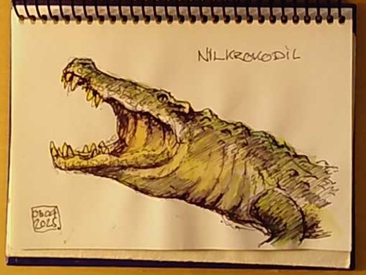Nilkrokodil, Naturhistorisches Museum Bern