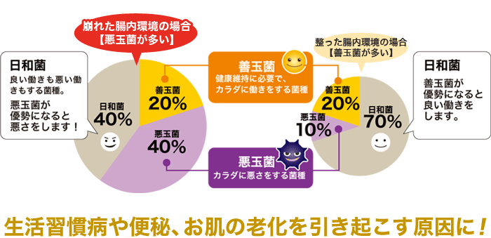 生活習慣病や便秘、お肌の老化を引き起こす原因に！