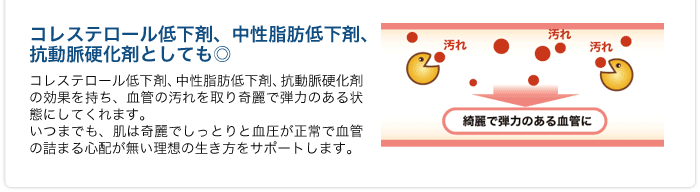 コレステロール低下剤、中性脂肪低下剤、 抗動脈硬化剤としても◎