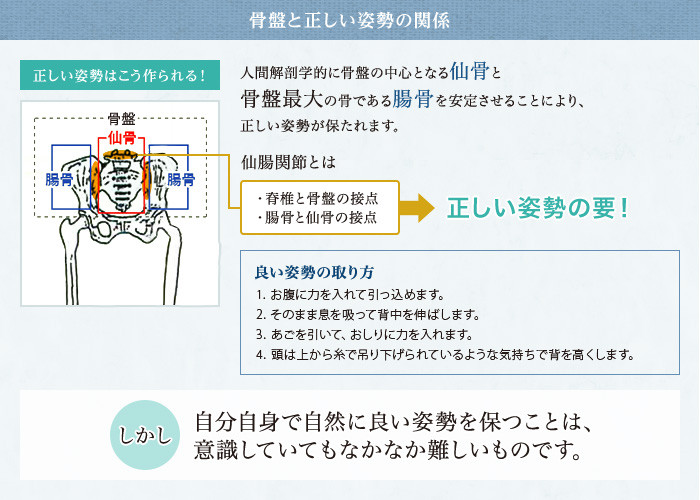 骨盤と正しい姿勢の関係