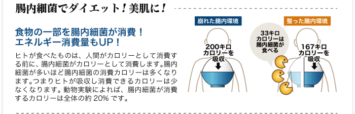 食物の一部を腸内細菌が消費！ エネルギー消費量もUP！