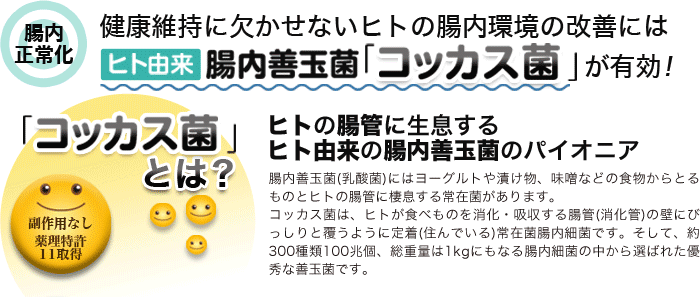 健康維持に欠かせないヒトの腸内環境の改善にはヒト由来腸内善玉菌「コッカス菌」が有効！