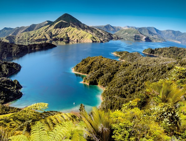 NEUSEELAND - 200 Tage Traumreise am schönsten Ende der Welt