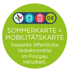 Banner Sommerkarte gleich Mobilitätskarte