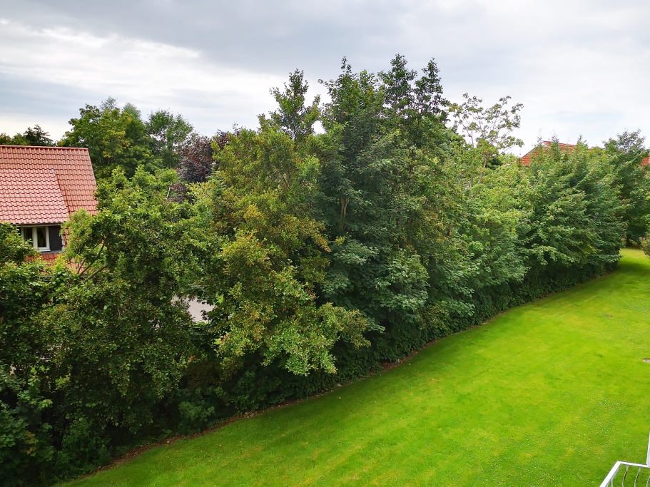 Umgebung vom Balkon