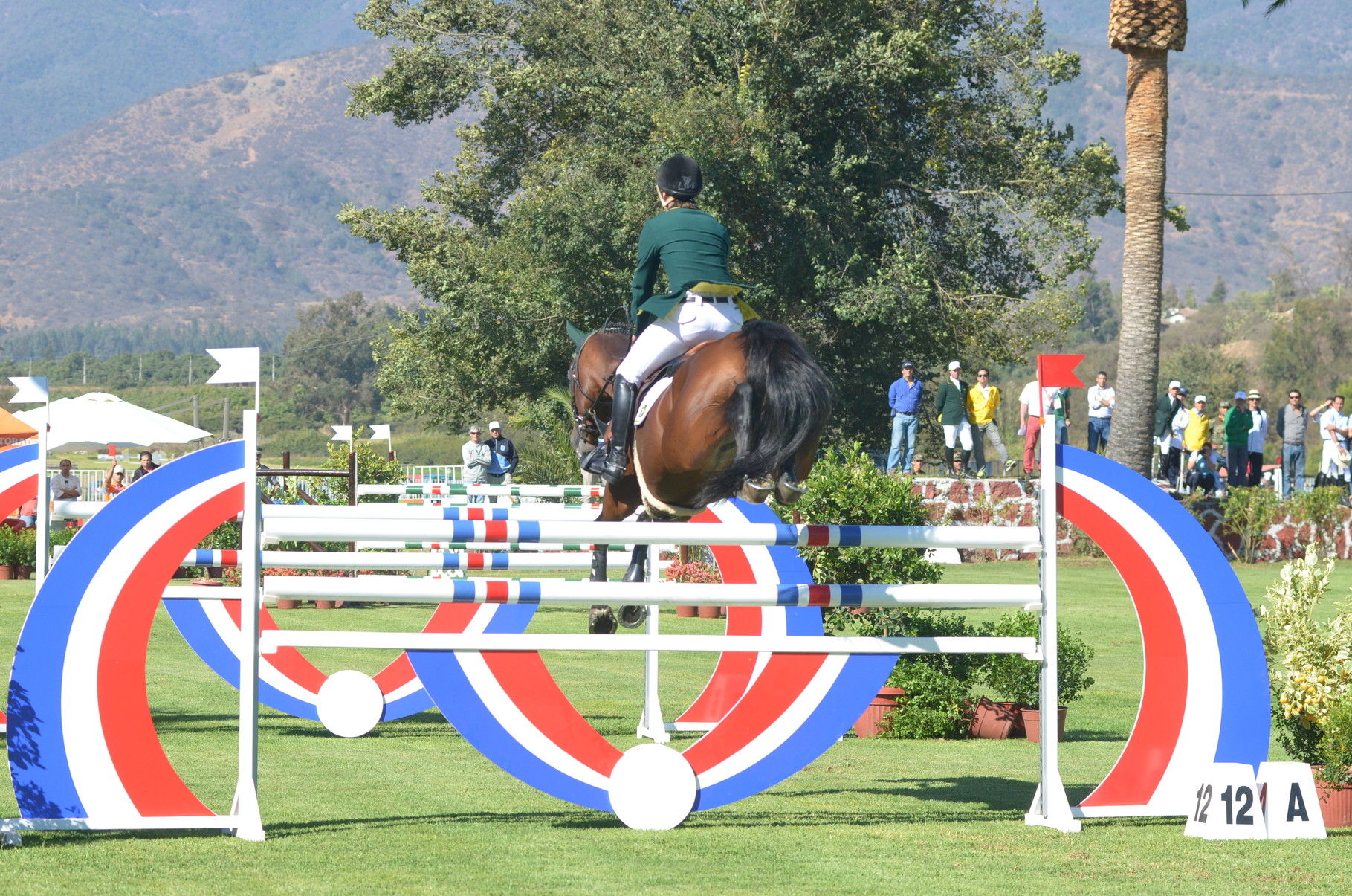 Felipe Amaral (Brasil) - Gold Medal (Individual Competition)