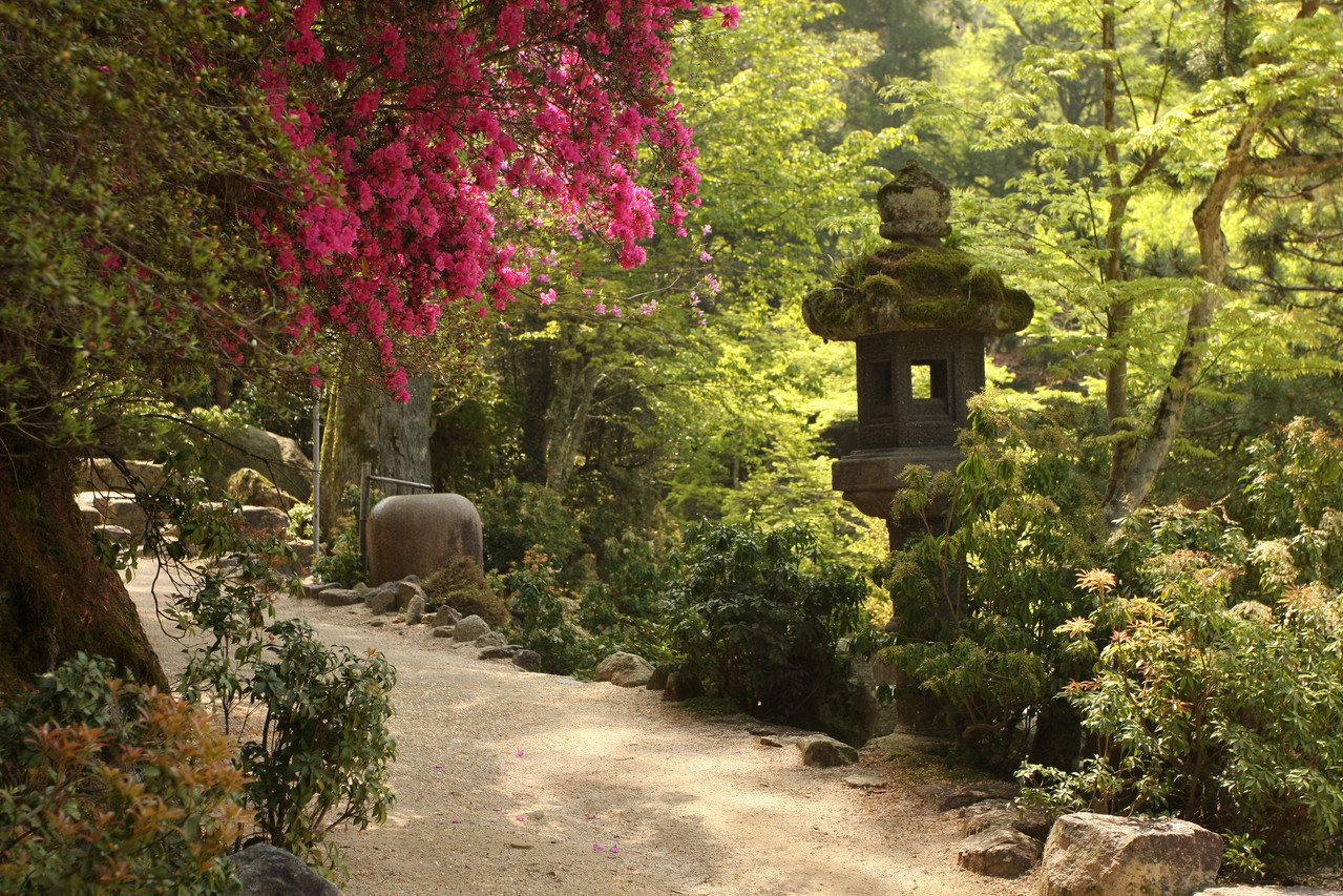 宮島 Miyajima Momijidani