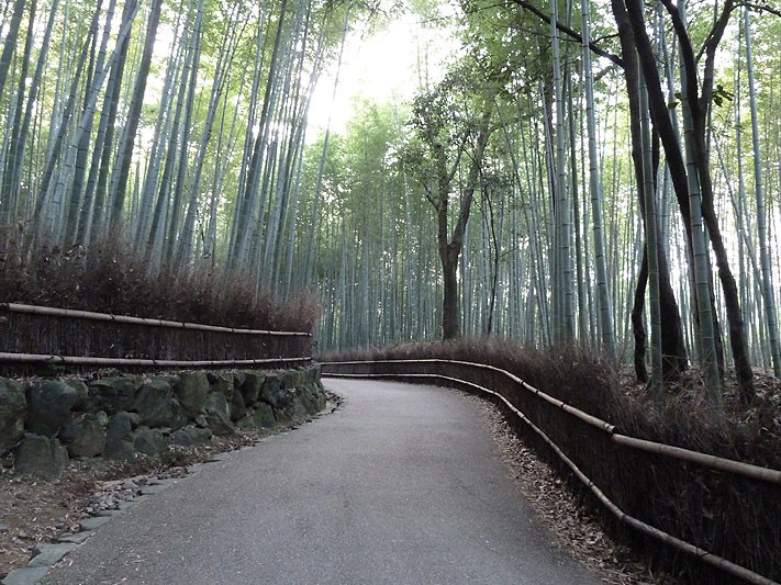 京都,,嵐山, Kyōto, Arashiyama