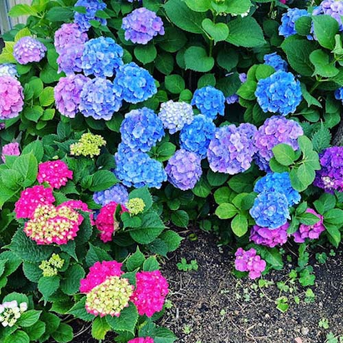 6月より水曜日の診療を再開致しました。