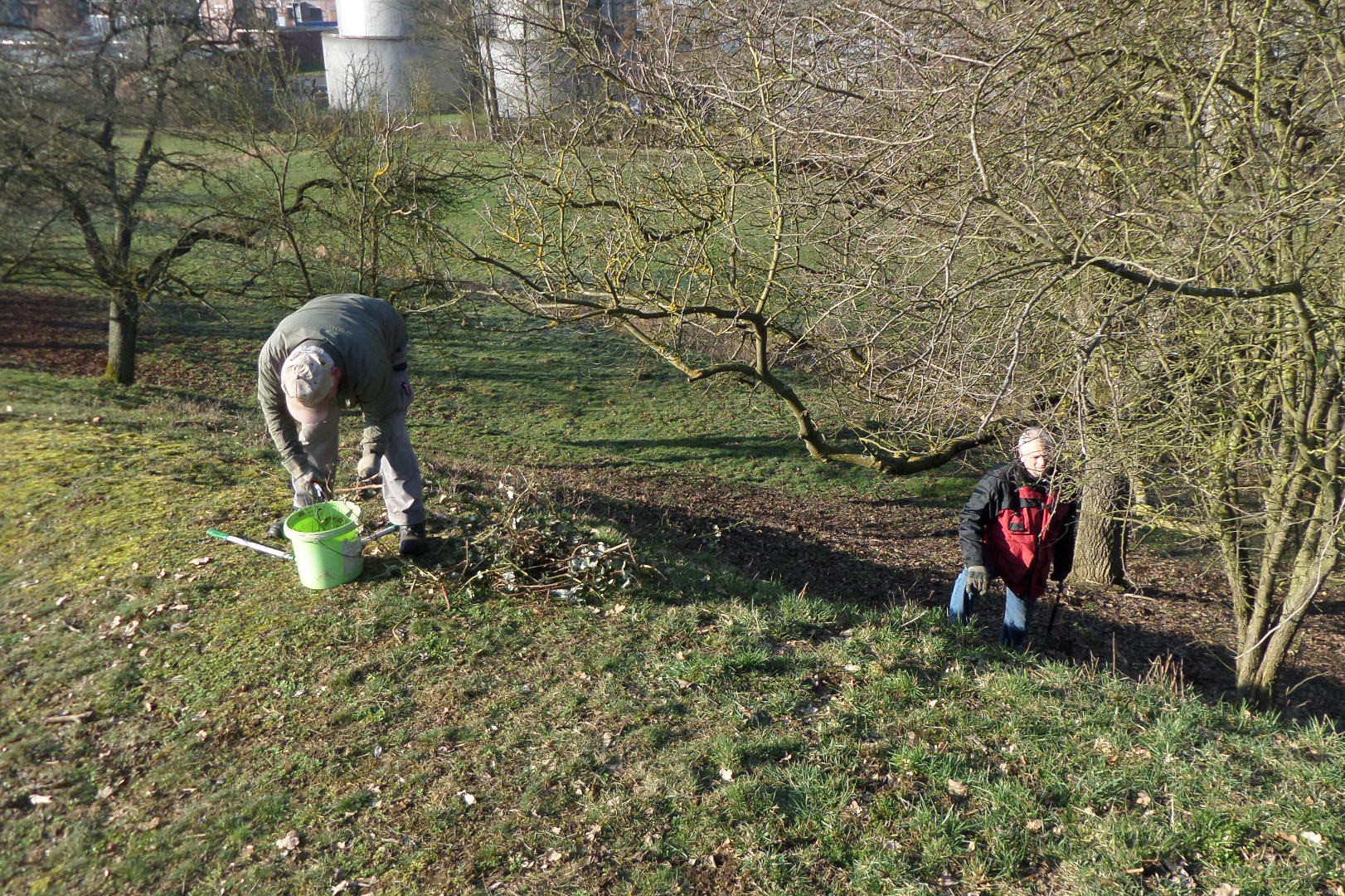 Naturschutzeinsatz am Silberberg