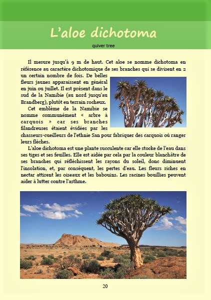 L'aloe dichotoma ; Géologie, faune et flore de Namibie 