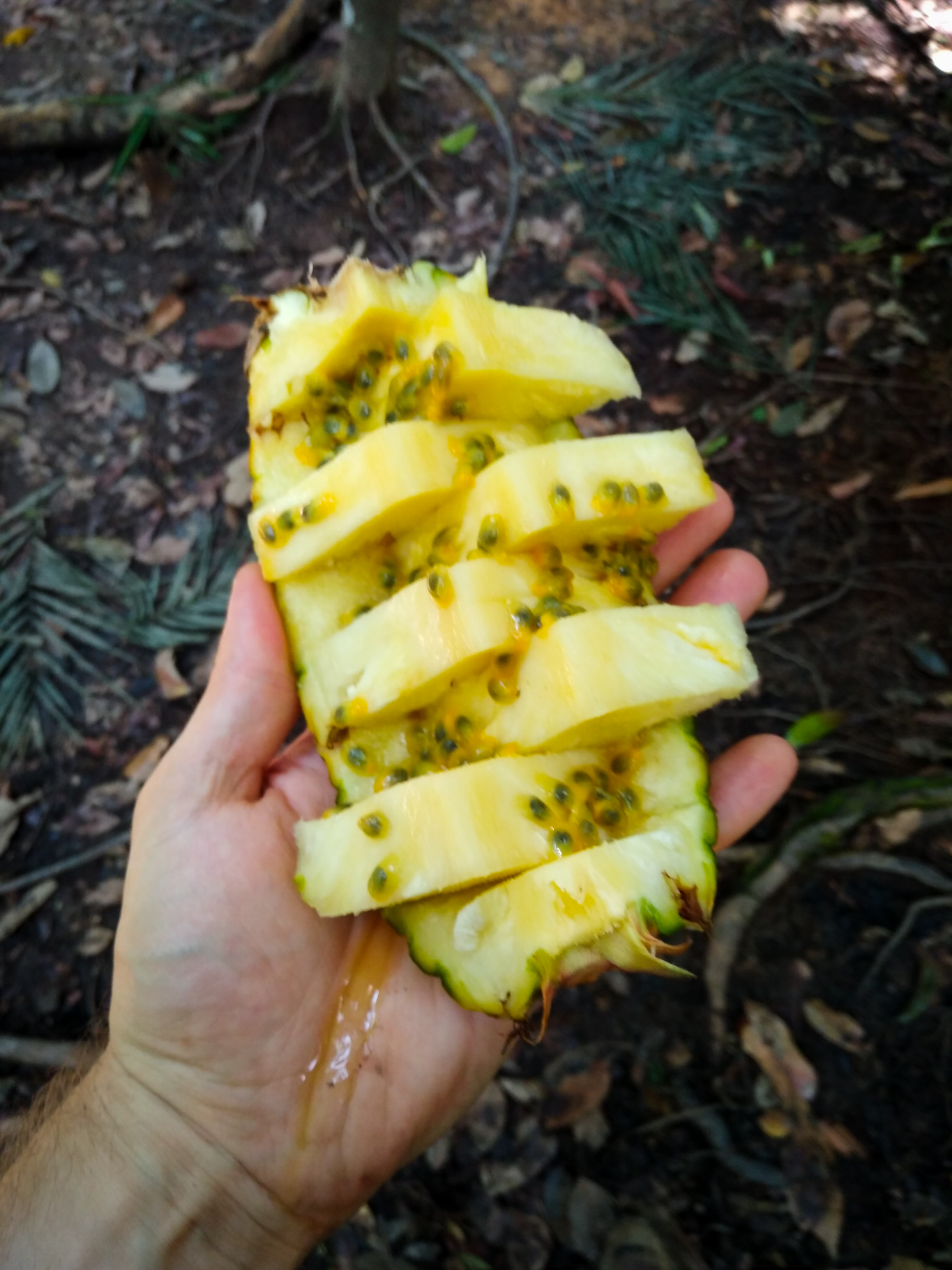 Ananas mit Maracuja-Kernen