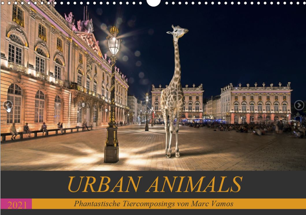 Der Kalender "Urban Animals" - die Geschenkidee für 2022