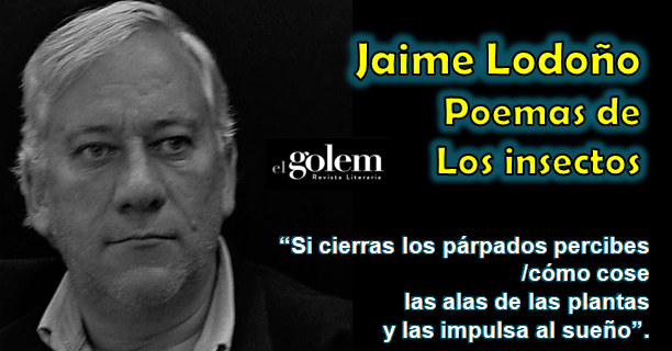 Poemas de Jaime Lodoño