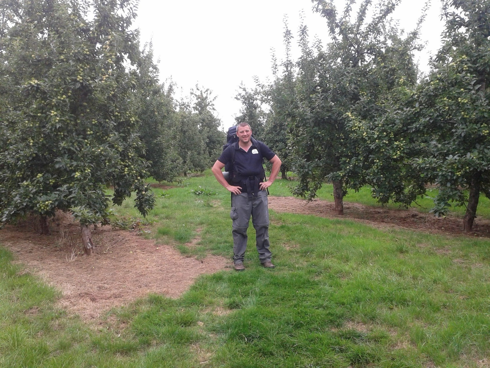 Steve in the Bulmers orchard
