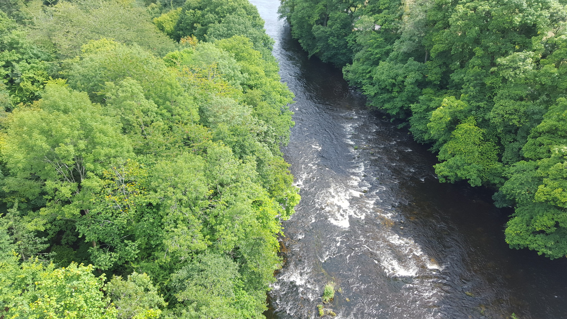 A view of the river from the viaduct