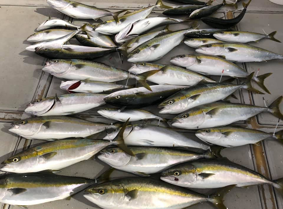 呑ませ釣り 釣り船 小溝丸 淡路島の遊漁船 呑ませ釣り 釣り船 小溝丸 淡路島の遊漁船