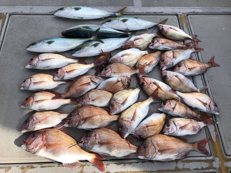 鯛サビキ 釣り船 小溝丸 淡路島の遊漁船