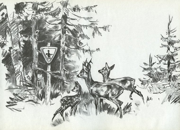 1940 Kunstlerkarte Jagd Aus Geilfus Lustige Jagerfibel In Bildern Sehr Gute Erhaltung Ak Ansichtskarten Center Onlineshop