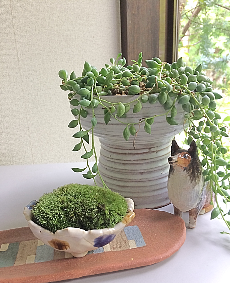 興味のある方もあまりない方ものぞいてみてください