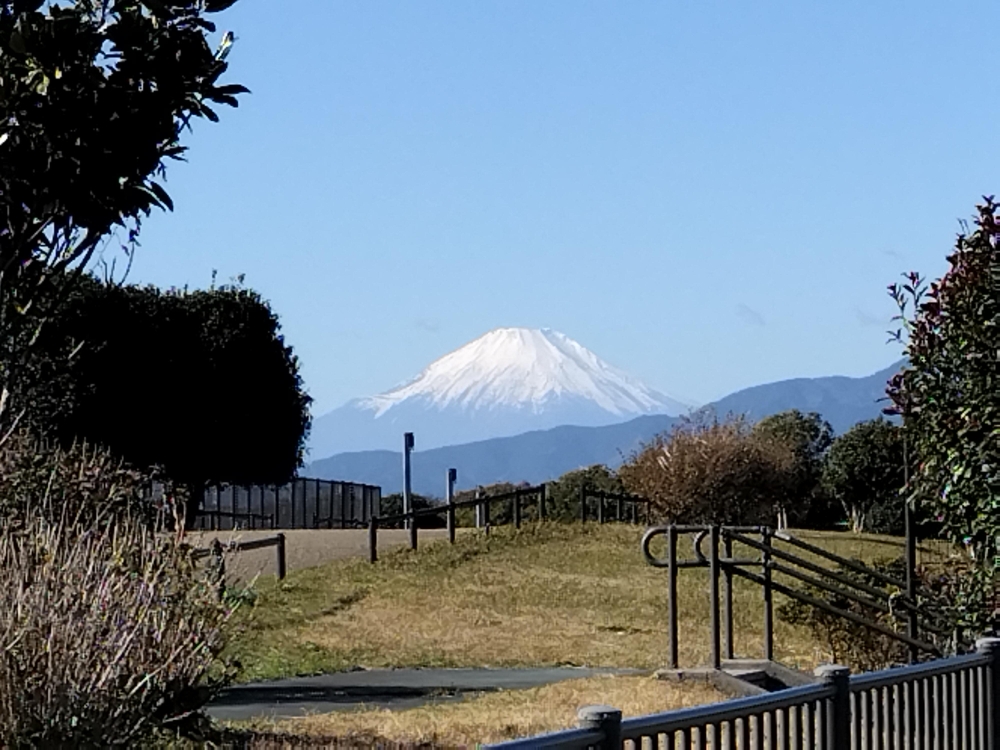 写真は無関係です。