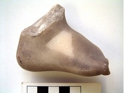 Results of poultice cleaning on the detached foot.