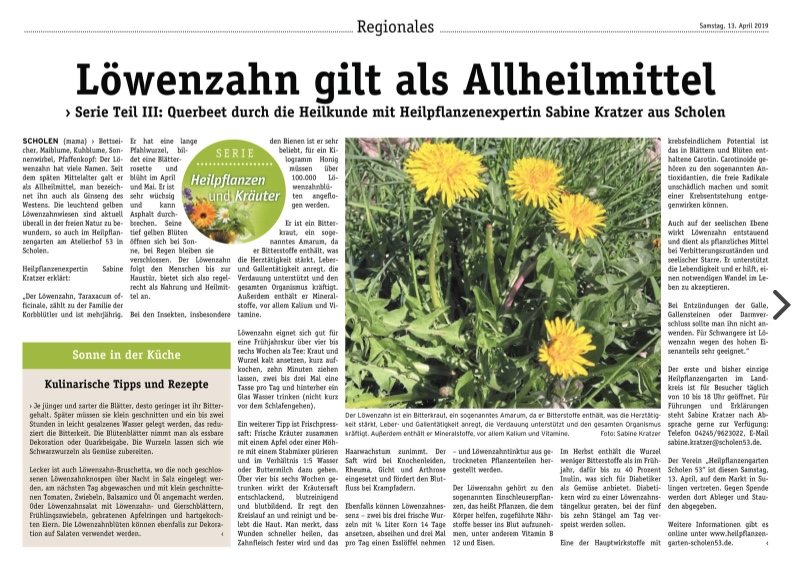 Löwenzahn gilt als Allheilmittel