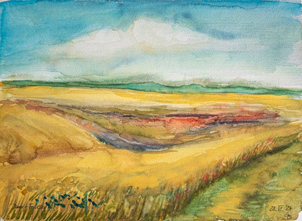 Junifelder, 2024,Aquarell, 33,5x45