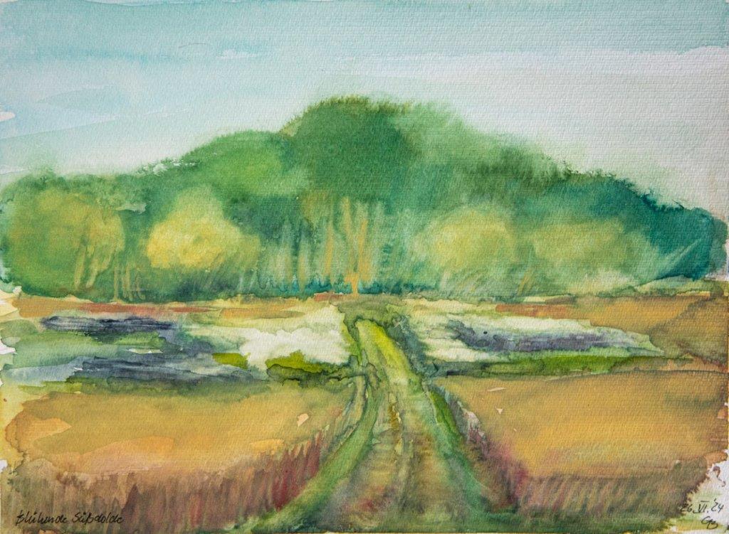 Blühende Süßdolde, 2024, Aquarell, 33x45