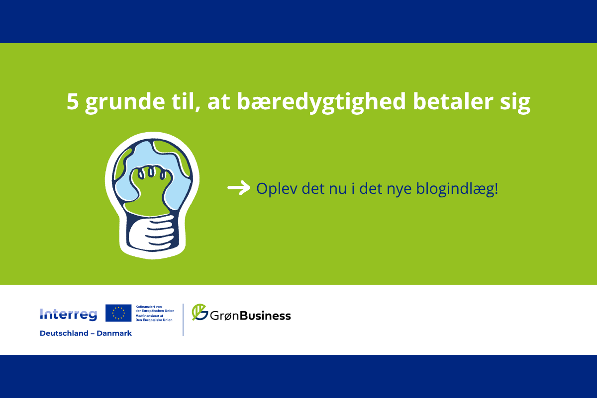 5 grunde til, at bæredygtig ledelse betaler sig