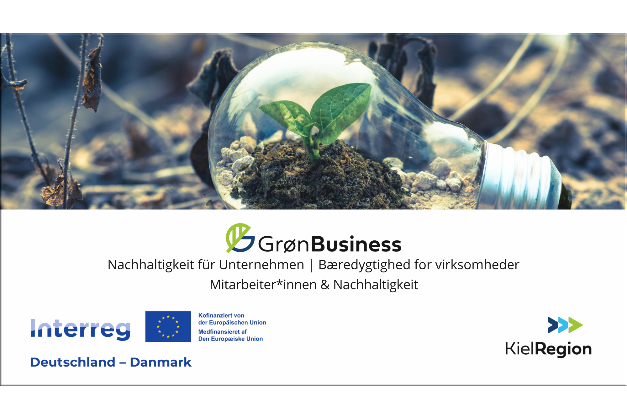 Mitarbeitende & Nachhaltigkeit