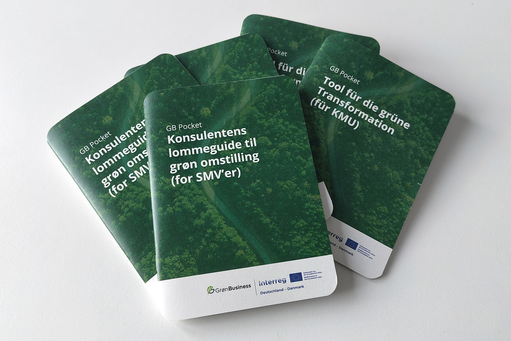 GB Pocket – Leitfaden Tool für die grüne Transformation (für KMU)