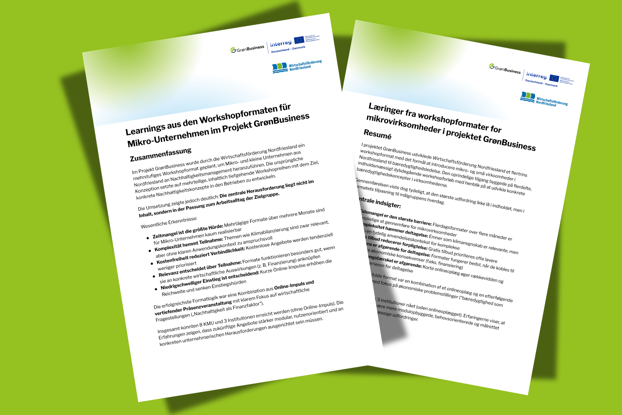 Erfaringer fra workshopformaterne for mikrovirksomheder i projektet Groen Business