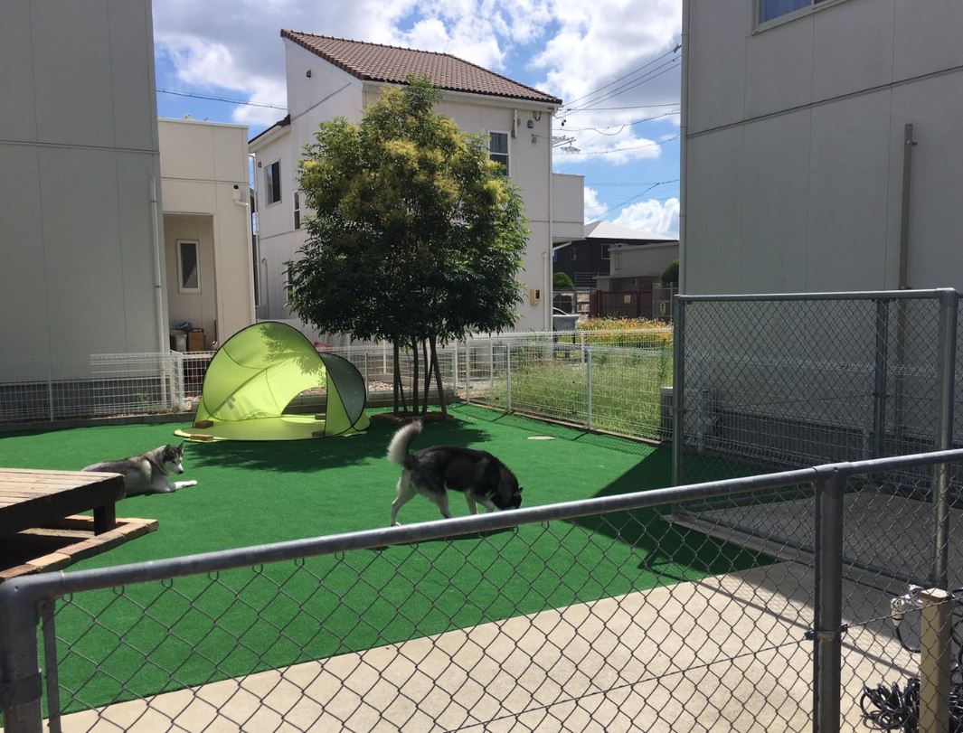 メンテナンス不要の芝生をご自宅のお庭にて施工致します！！　磐田市　浜松市　袋井市　湖西市　掛川市　豊橋市