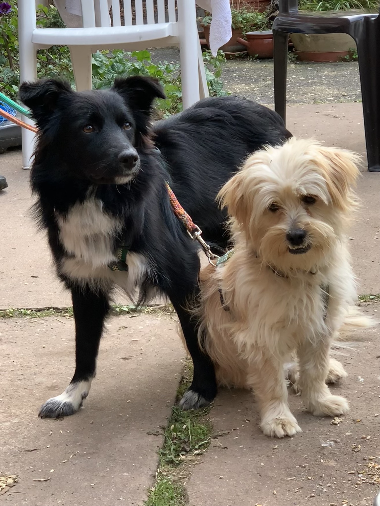 Bobby und Clyde
