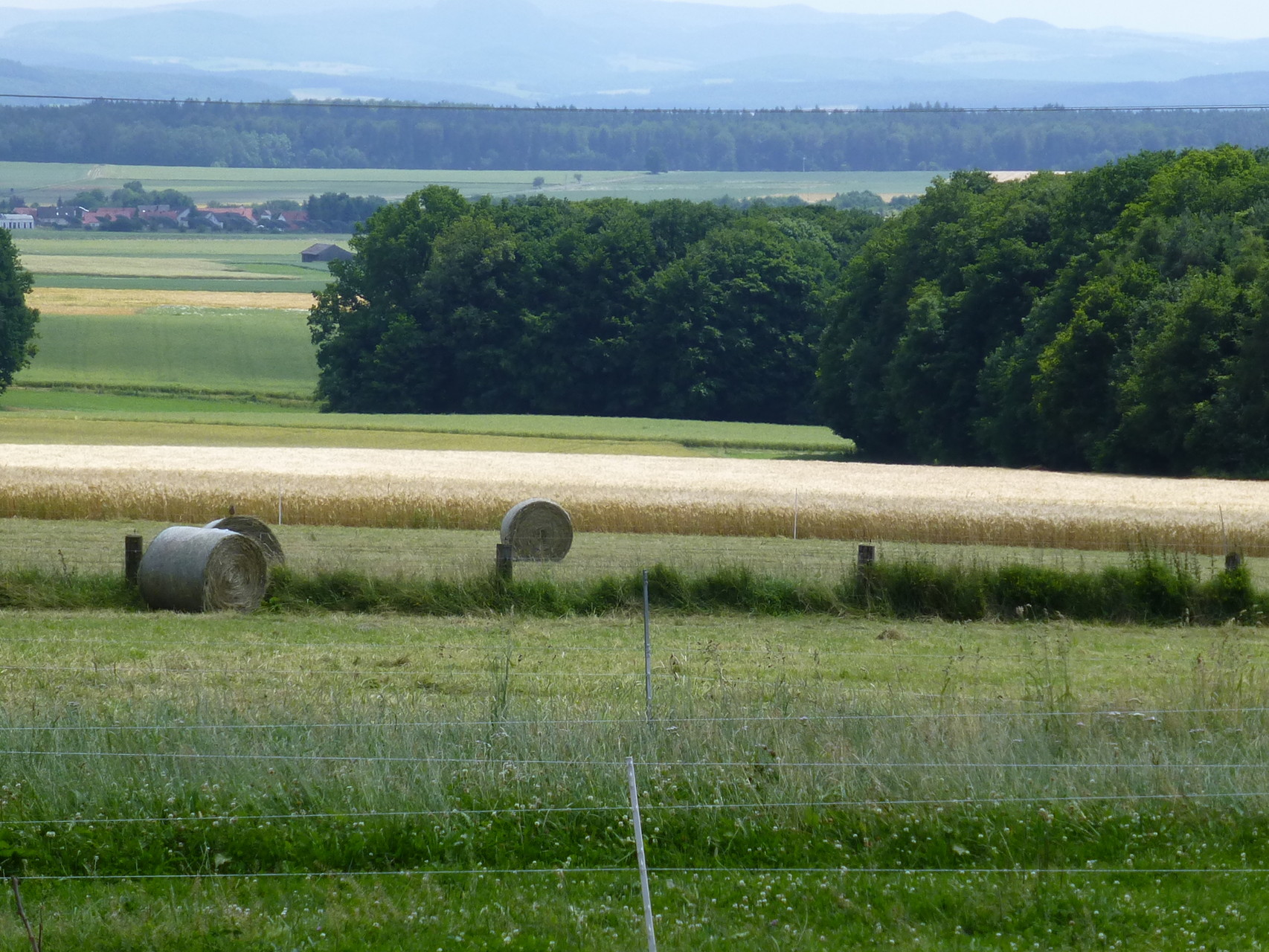 Heuernte, jedes Jahr wieder toll.