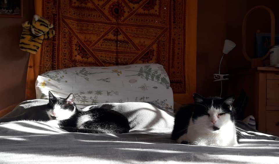 Lucky und Susi