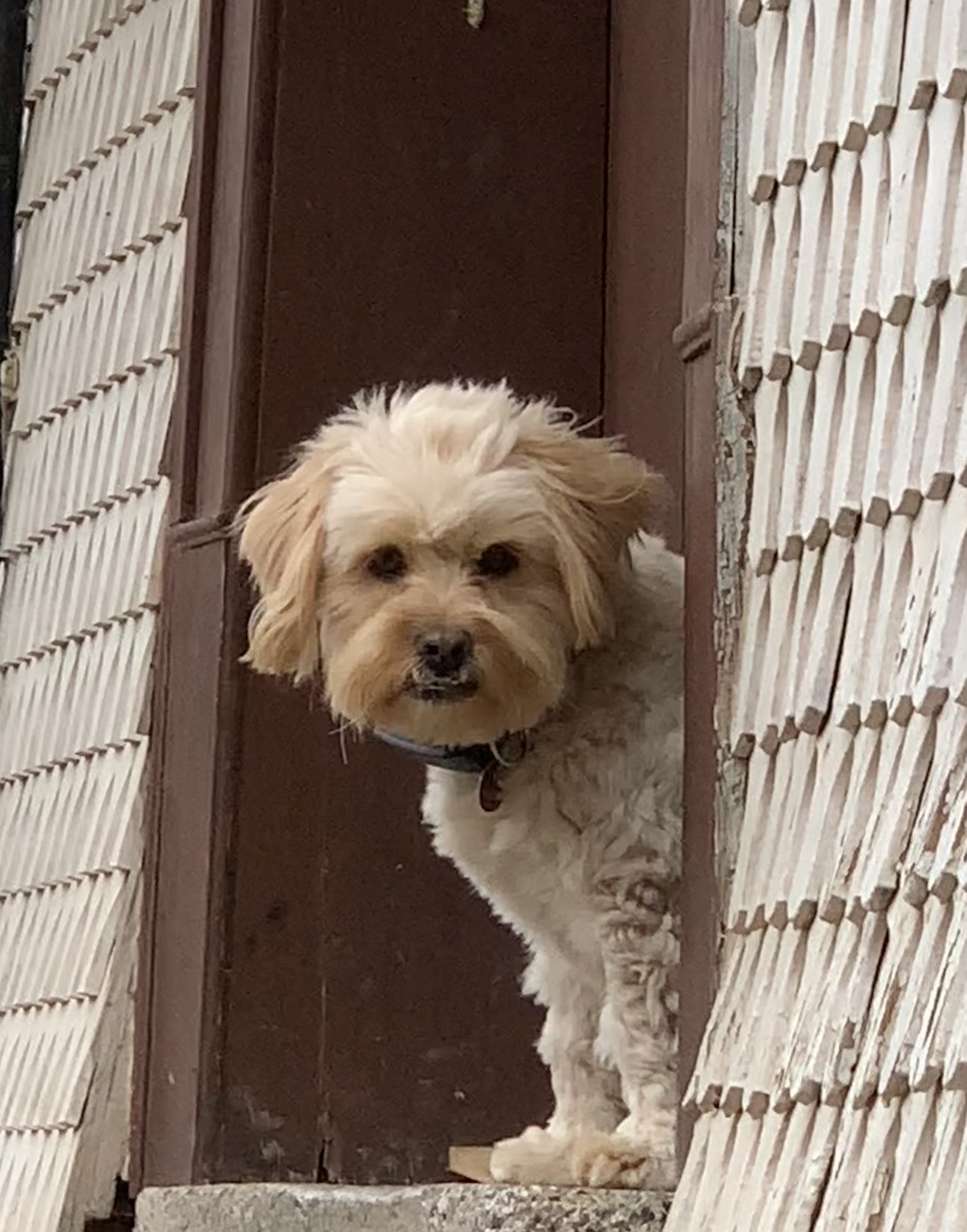 Bobby