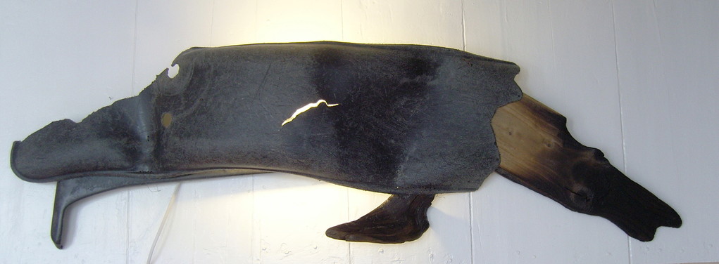 Zeehond (wand-object) 120x40x18cm 395,-