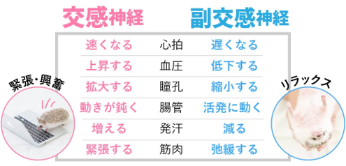 光の覚せい剤   ～ 合法です ～