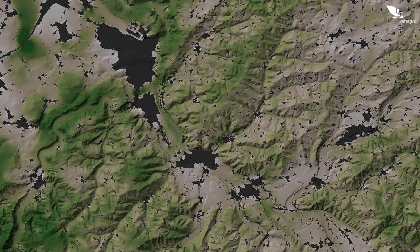 Rete della fauna selvatica
