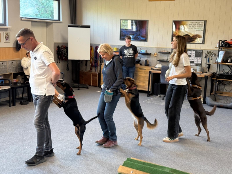 Eine kleine Polonaise ...