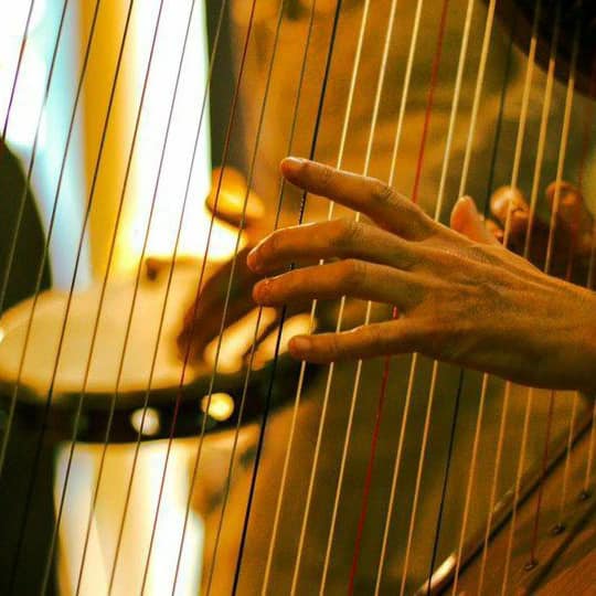 La Sieste Musicale / Muut Production